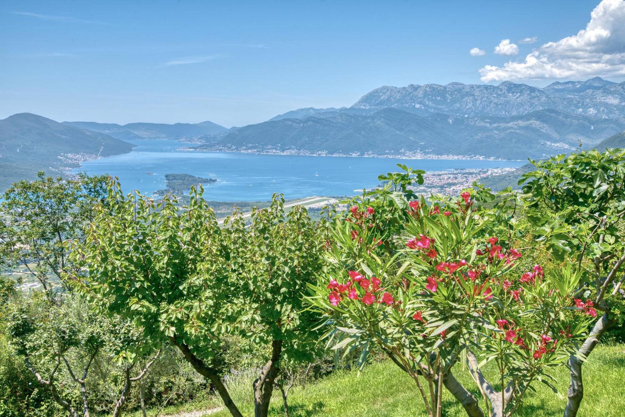 Apartment Paradise Kotor Kültér fotó